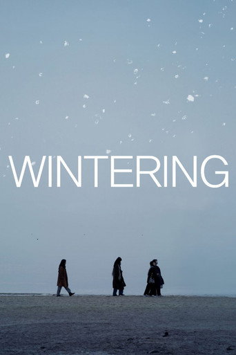 Wintering movie poster