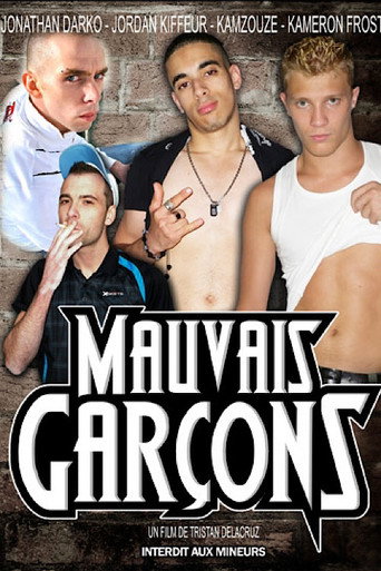 Mauvais Garçons movie poster