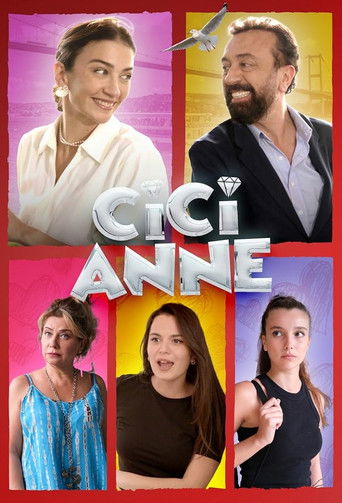 Step Mom movie poster