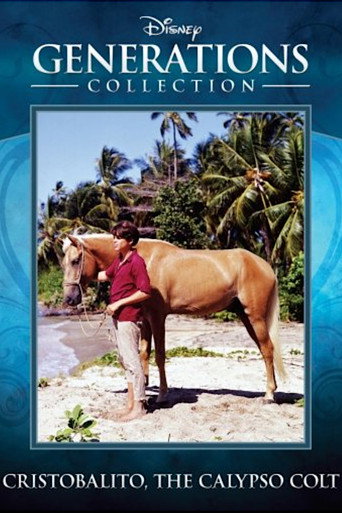 Cristobalito, the Calypso Colt movie poster