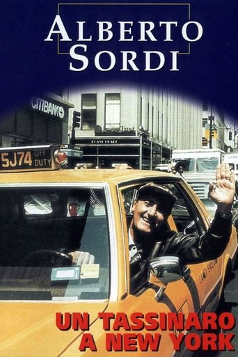 A Taxi Driver in New York movie poster