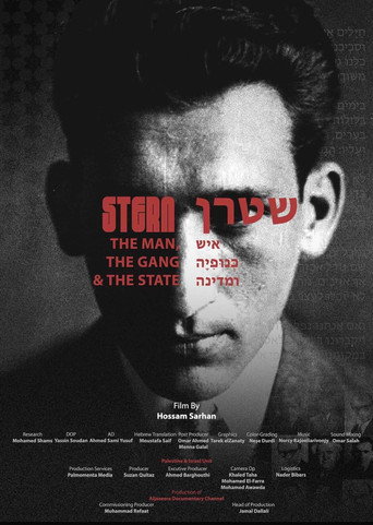 Stern: The Man, the Gang, and the State movie poster