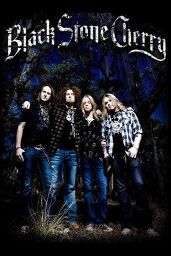 Black Stone Cherry: Crossroads Festival 2009 movie poster