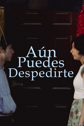 Aún puedes despedirte movie poster