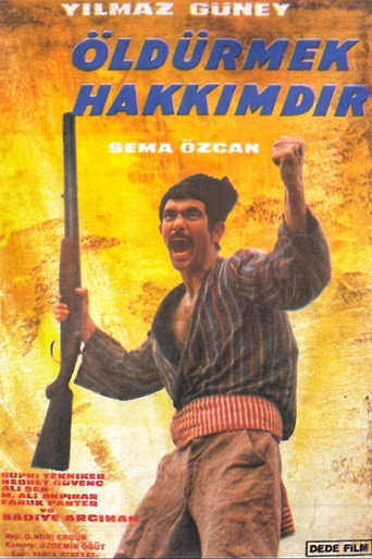 Öldürmek Hakkımdır movie poster