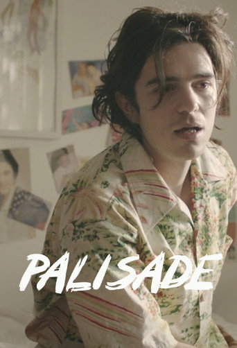 Palisade movie poster