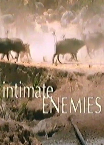Intimate Enemies movie poster