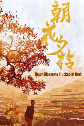 朝花夕拾 movie poster