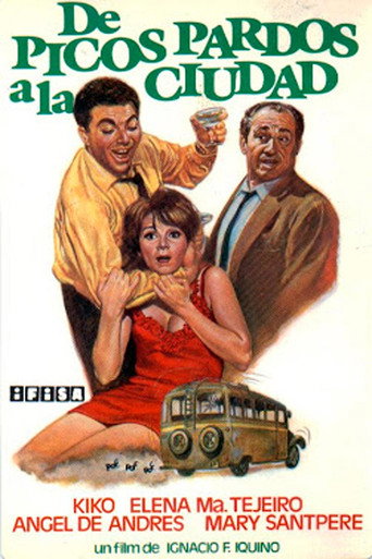 De picos pardos a la ciudad movie poster