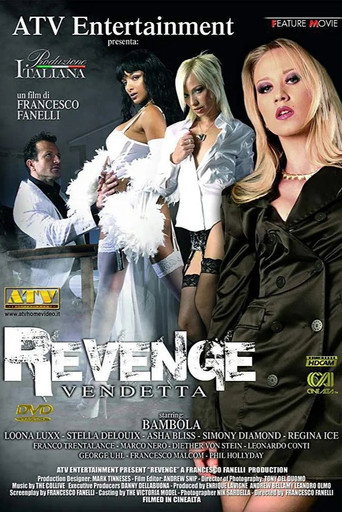 Revenge movie poster