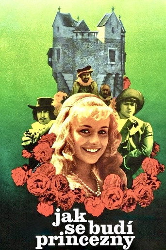 How to Wake a Princess movie poster