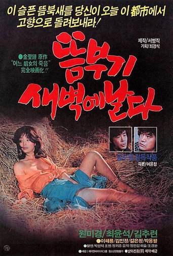 A Bird Flying At Dawn movie poster