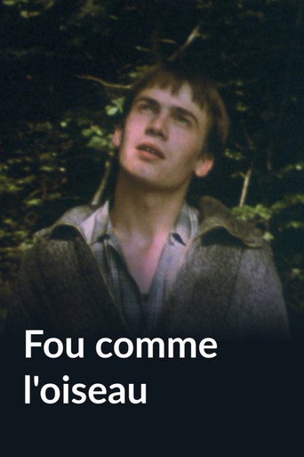 Fou comme l'oiseau movie poster