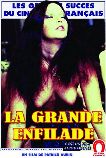The Party movie poster