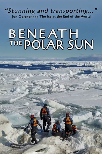 Beneath the Polar Sun movie poster