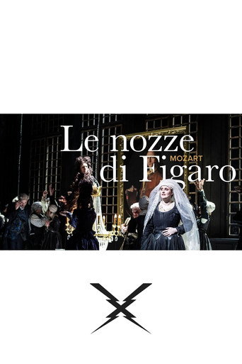 The Marriage of Figaro - Hannover movie poster
