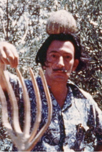 Salvador Dalí Home Movie movie poster