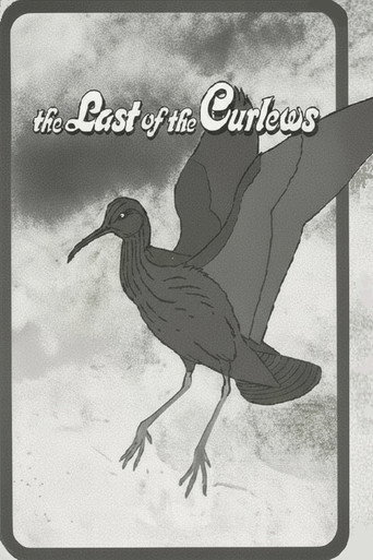 The Last of the Curlews movie poster