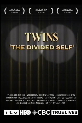 Twins: The Divided Self movie poster