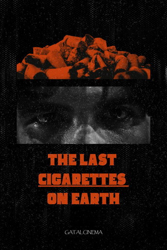 The Last Cigarretes on Earth movie poster