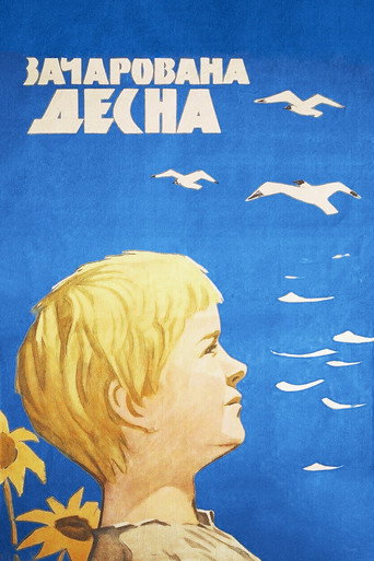 The Enchanted Desna movie poster