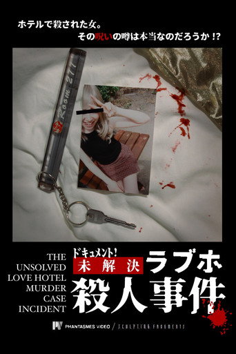 The Unsolved Love Hotel Murder Case Incident movie poster