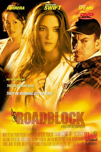 Roadblock movie poster