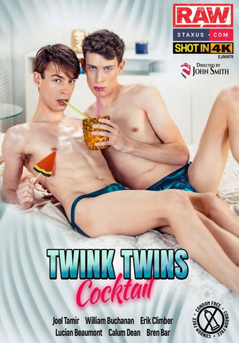 Twink Twins Cocktail movie poster