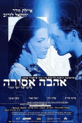 The Dybbuk of the Holy Apple Field movie poster