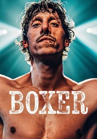 Boxer movie poster