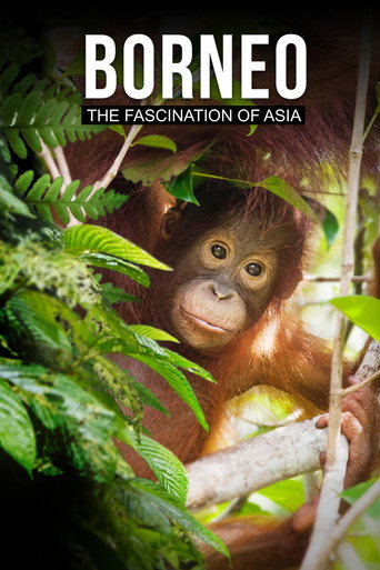 Borneo: The Fascination of Asia movie poster
