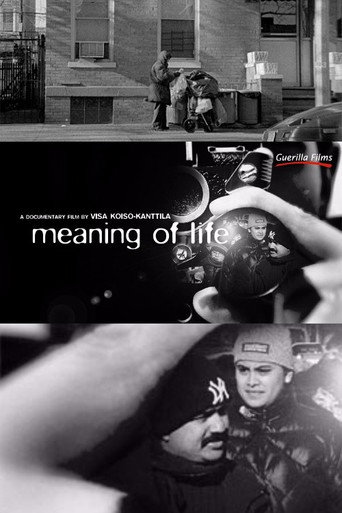 Meaning of Life movie poster