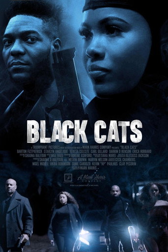 Black Cats movie poster