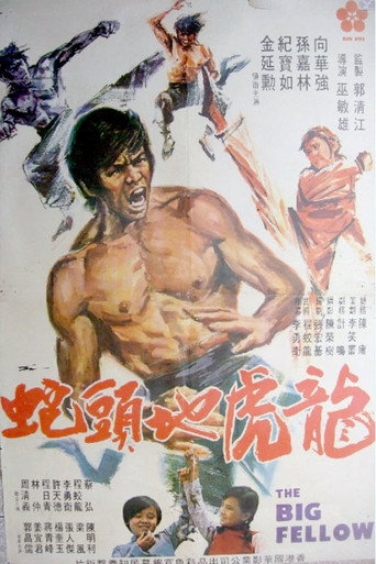 The Big Fellow movie poster