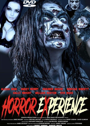 Horror Experience movie poster