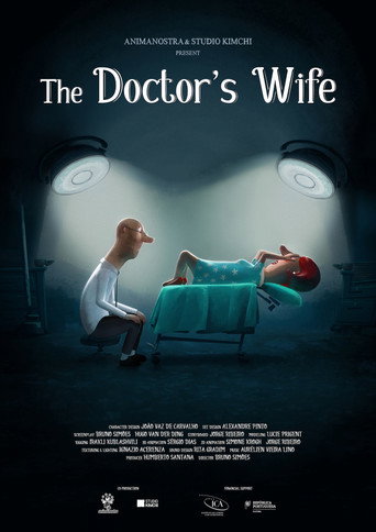 The Doctor's Wife movie poster