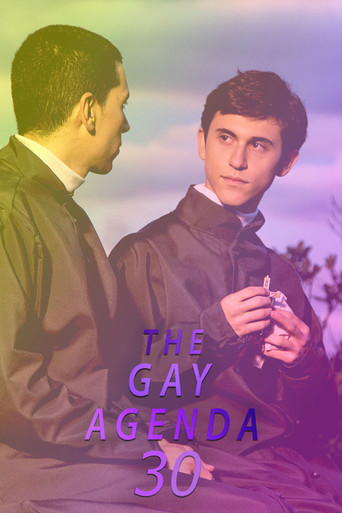 The Gay Agenda 30 movie poster