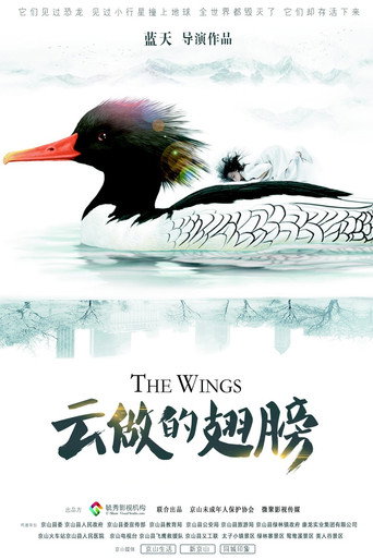 The Wings movie poster