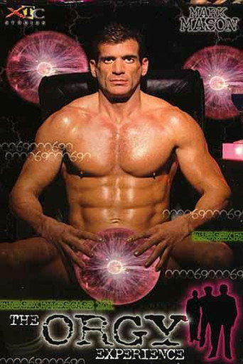 The Orgy Experience movie poster