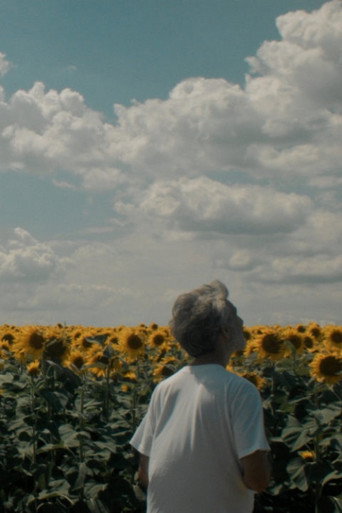 Without movie poster
