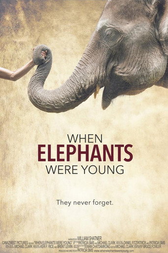 When Elephants Were Young movie poster