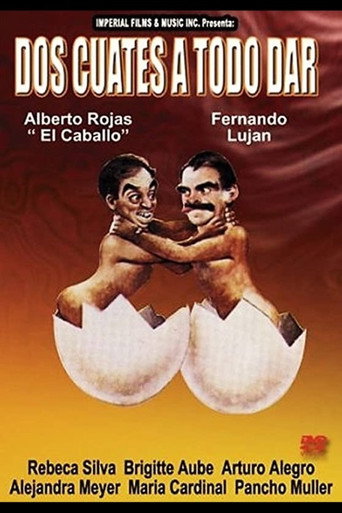 Dos cuates a todo dar movie poster