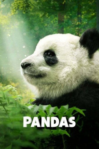 Pandas movie poster