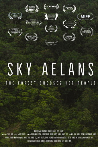 Sky Islands movie poster