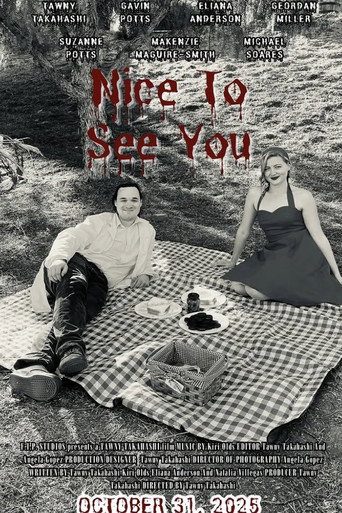 Nice to See You movie poster