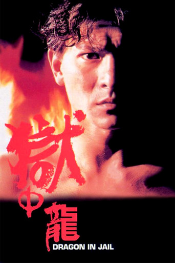 Dragon in Jail movie poster