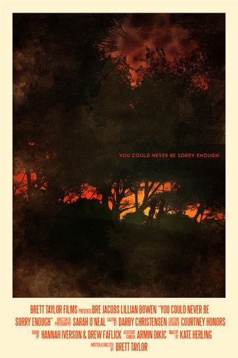 You Could Never Be Sorry Enough movie poster