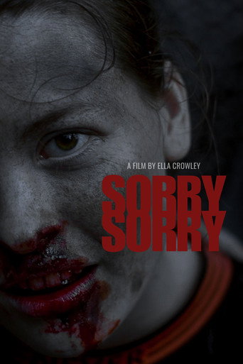 Sorry Sorry movie poster