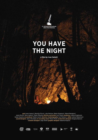 You Have the Night movie poster