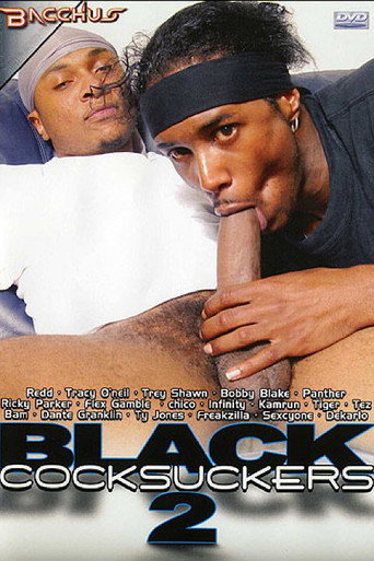 Black Cocksuckers 2 movie poster